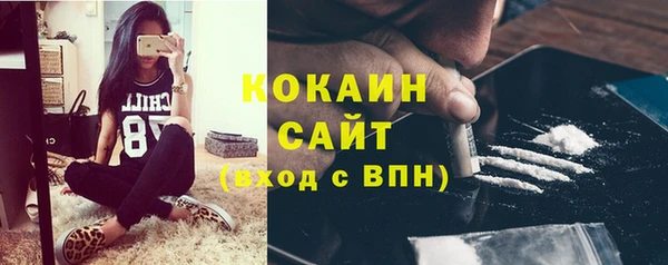 spice Гусиноозёрск