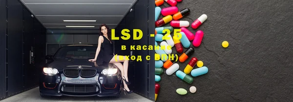 spice Гусиноозёрск