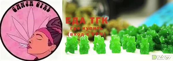 ECSTASY Гусь-Хрустальный