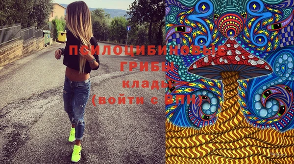 ECSTASY Гусь-Хрустальный