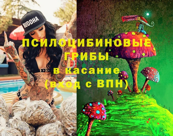 МДМА Гусев