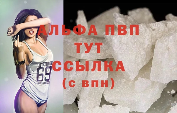 ECSTASY Гусь-Хрустальный