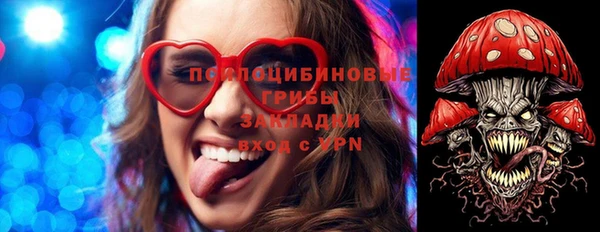 ECSTASY Гусь-Хрустальный
