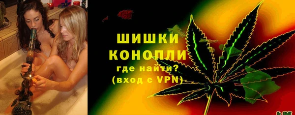 ECSTASY Гусь-Хрустальный