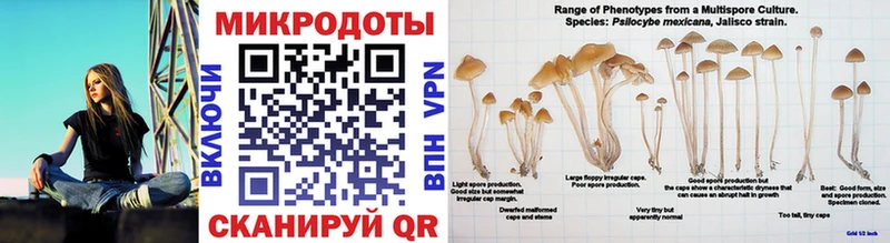 Псилоцибиновые грибы Magic Shrooms  сколько стоит  Данков 