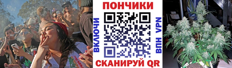 площадка состав  Данков  Каннабис MAZAR 